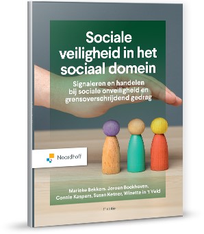 Sociale veiligheid in het sociaal domein