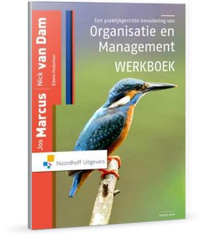Een praktijkgerichte benadering van organisatie en management werkboek