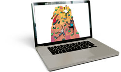 Verlengingslicentie Duits Compact | geheel digitaal 12 maanden