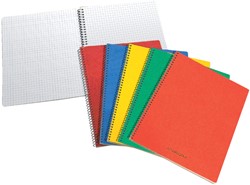 Spiraalcarnet 80x135mm ruit 5x5mm 100vel