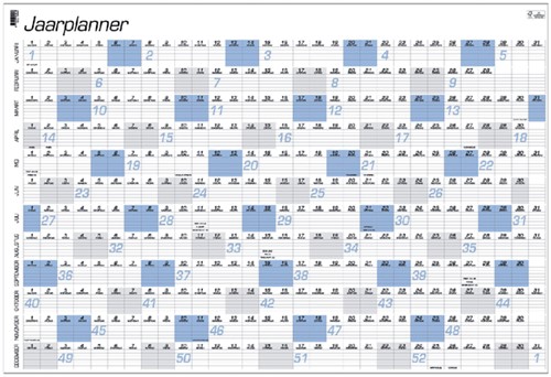 Jaarplankalender 2021 Quantore A1 84x57cm