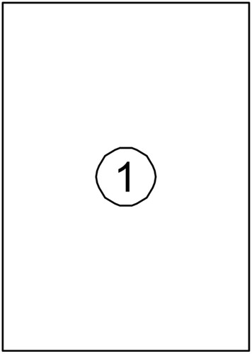 Etiket Avery DP001-100 210x297 kopieren 100stuks-2