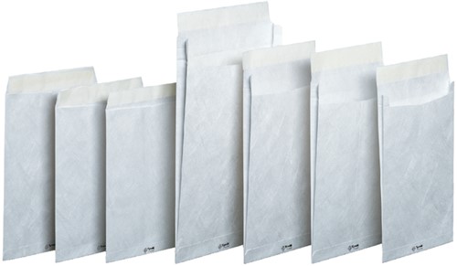 Envelop Tyvek monsterzak C4 229x324x38mm 55gr wit 100stuks-2