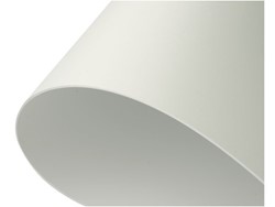 Cartone da esposizione e cartone kraft