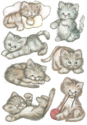 Etiket Herma schattig poesje