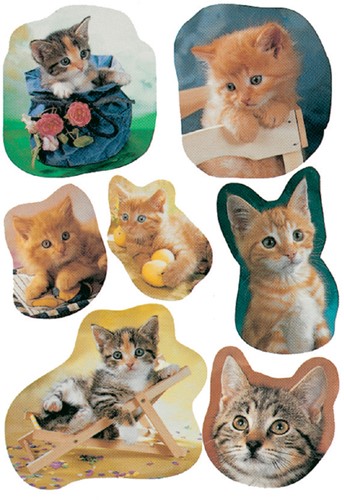 Etiket Herma katten