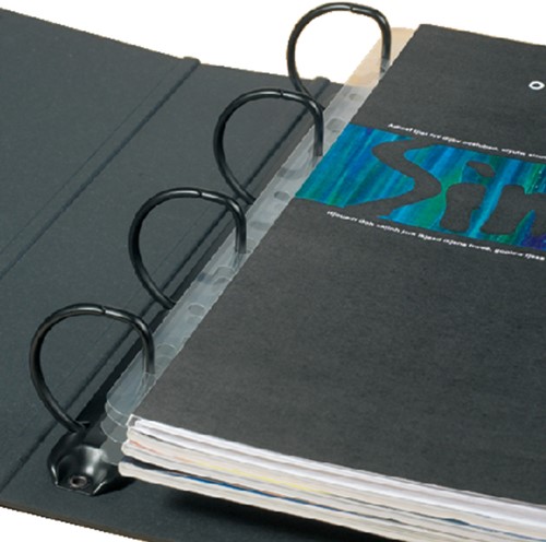 Opbergstrip Djois filestrip A4 295mm 2/4rings transparant 50 stuks