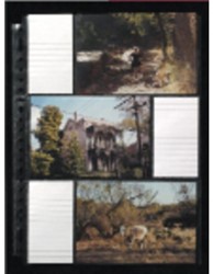 Photo Bags
