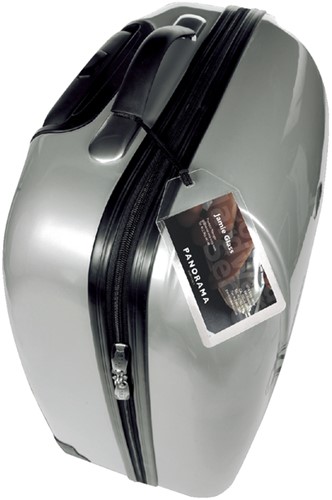 Label bagage 3L 11120 72x123mm 10 stuks-2