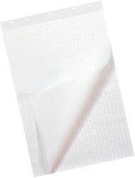 Flipchart Paper