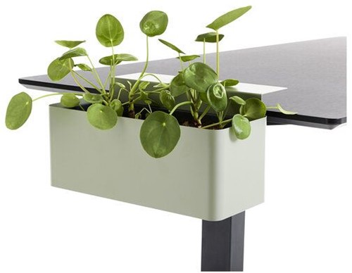 Bloembak zwart met klem voor aan het bureau ( in 3 kleuren leverbaar)  - Groen