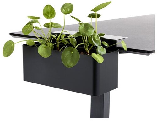 Bloembak zwart met klem voor aan het bureau ( in 3 kleuren leverbaar)  - Zwart
