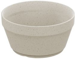Servies