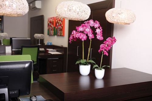 Sierplant Orchidee phaleaenopsis 60cm   (leverbaar in 2 kleuren)-2