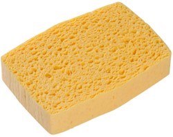 Éponges