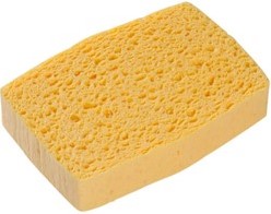Éponges