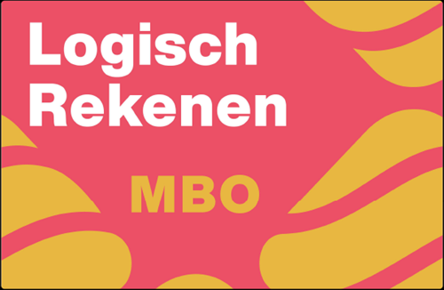 Logisch Rekenen – MBO 12 mnd + leerwerkboek niveau 2**
