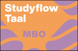 Studyflow Taal - MBO 12 mnds